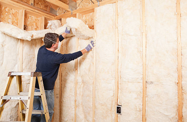 Best Wall Insulation Installation in East Rochester, NY